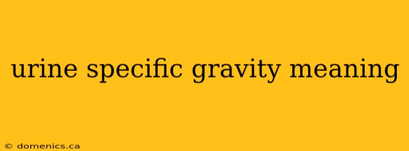 urine specific gravity meaning