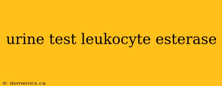 urine test leukocyte esterase