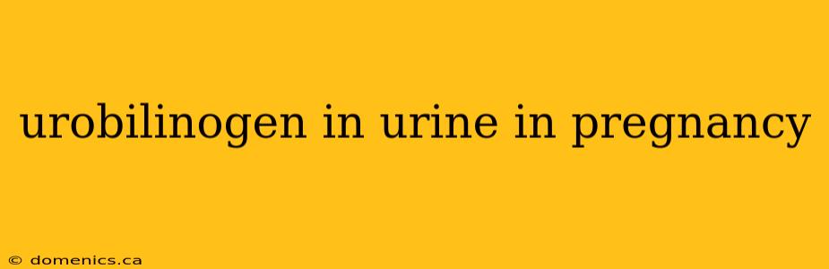 urobilinogen in urine in pregnancy