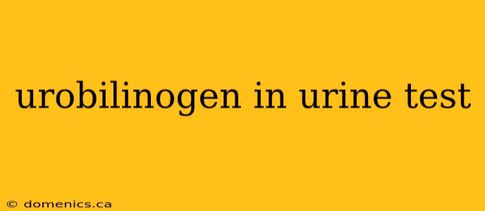 urobilinogen in urine test