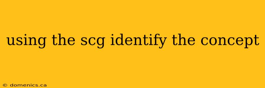 using the scg identify the concept