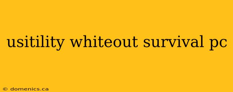 usitility whiteout survival pc