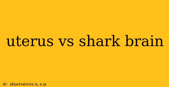 uterus vs shark brain