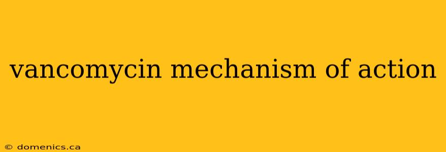 vancomycin mechanism of action