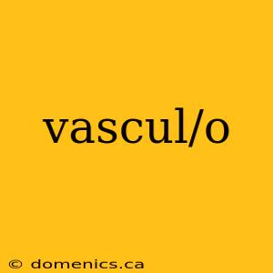 vascul/o