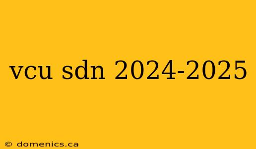 vcu sdn 2024-2025