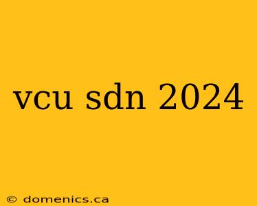 vcu sdn 2024