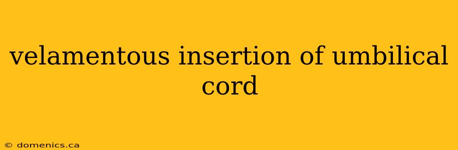 velamentous insertion of umbilical cord