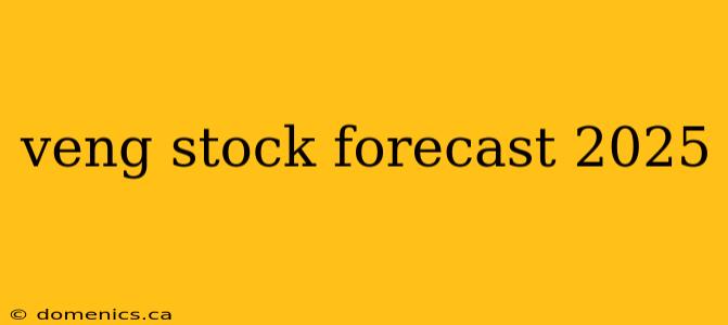 veng stock forecast 2025