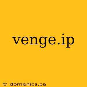 venge.ip