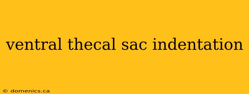 ventral thecal sac indentation