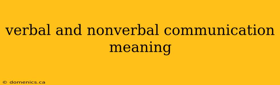 verbal and nonverbal communication meaning