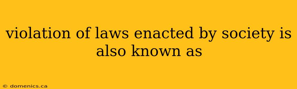 violation of laws enacted by society is also known as