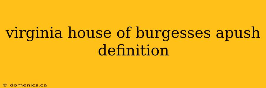 virginia house of burgesses apush definition