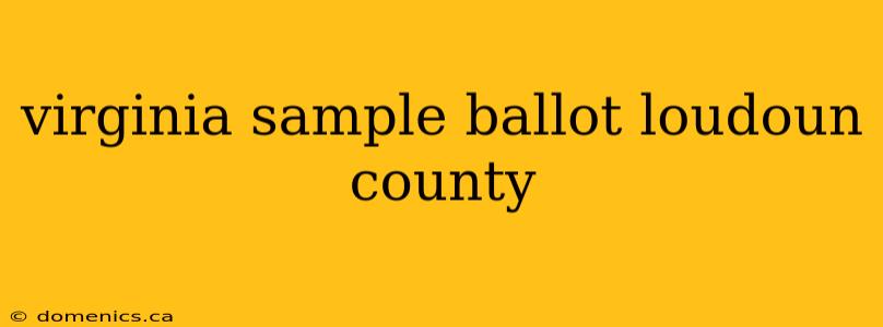 virginia sample ballot loudoun county