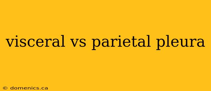 visceral vs parietal pleura