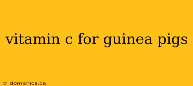 vitamin c for guinea pigs