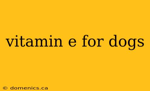 vitamin e for dogs