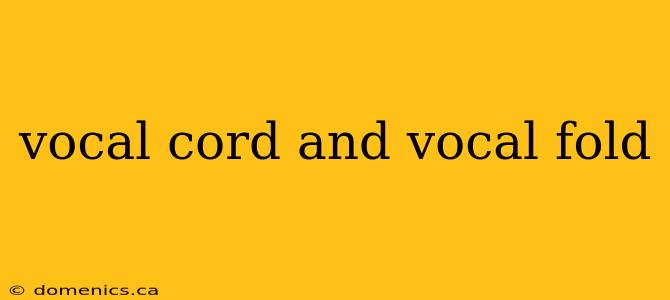 vocal cord and vocal fold