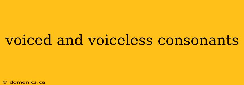 voiced and voiceless consonants