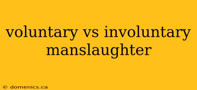 voluntary vs involuntary manslaughter