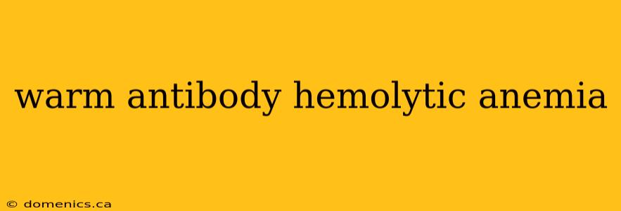 warm antibody hemolytic anemia