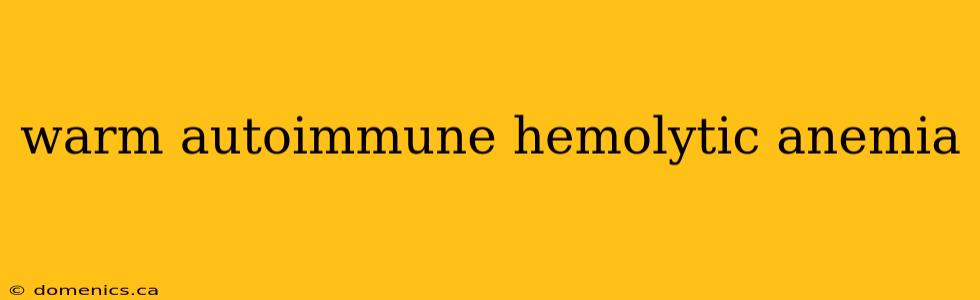 warm autoimmune hemolytic anemia