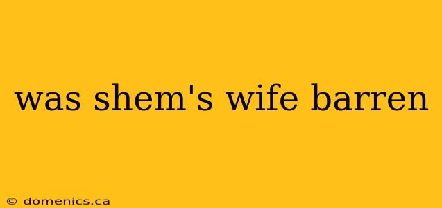 was shem's wife barren