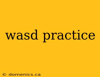 wasd practice