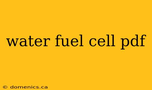 water fuel cell pdf