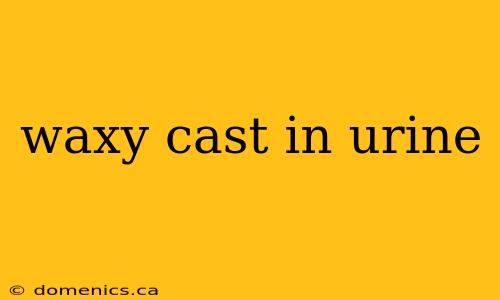 waxy cast in urine