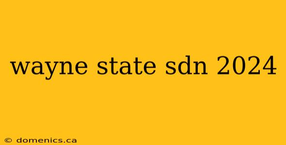 wayne state sdn 2024