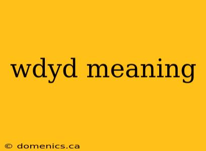 wdyd meaning