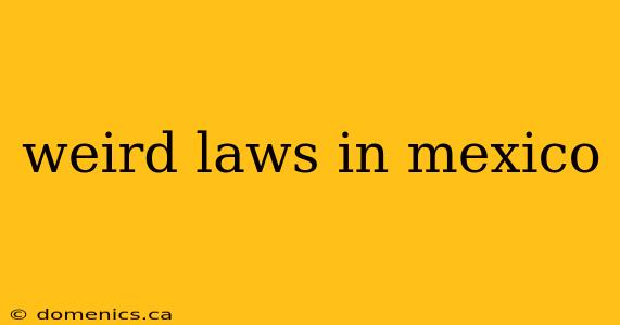 weird laws in mexico