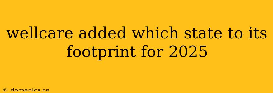 wellcare added which state to its footprint for 2025