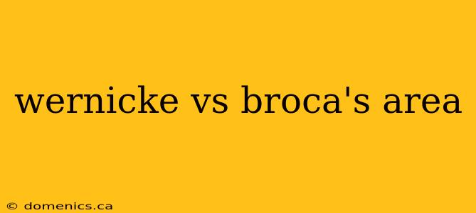 wernicke vs broca's area