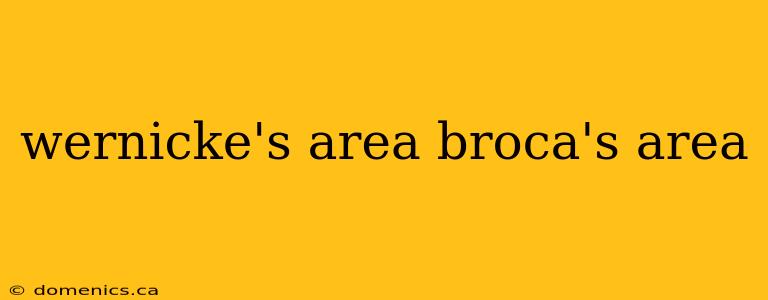 wernicke's area broca's area