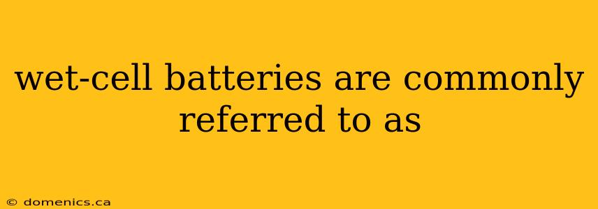 wet-cell batteries are commonly referred to as
