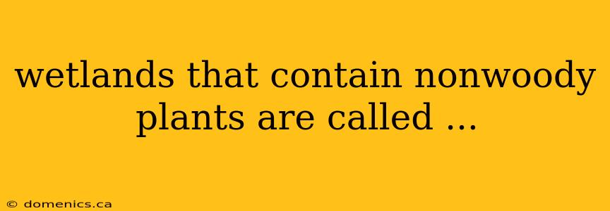 wetlands that contain nonwoody plants are called ...