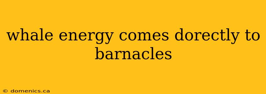 whale energy comes dorectly to barnacles