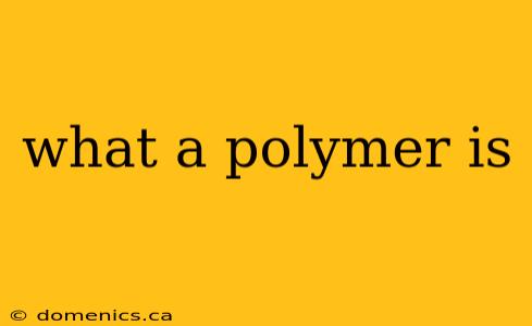 what a polymer is