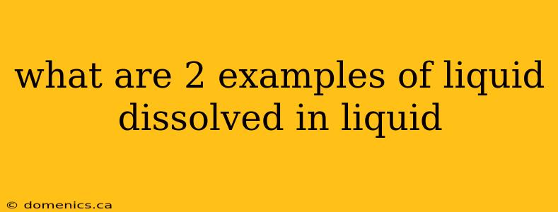 what are 2 examples of liquid dissolved in liquid