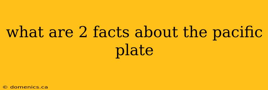 what are 2 facts about the pacific plate