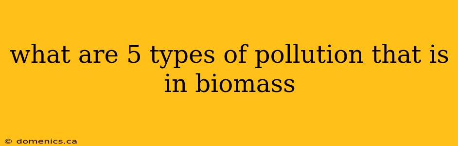 what are 5 types of pollution that is in biomass