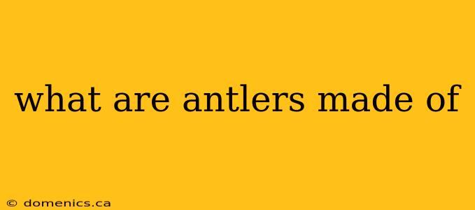 what are antlers made of