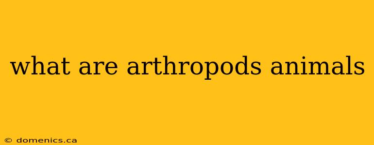 what are arthropods animals