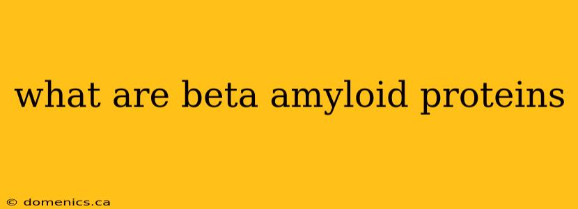 what are beta amyloid proteins