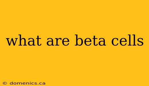 what are beta cells