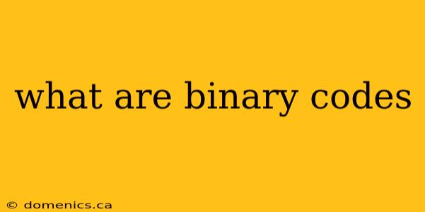 what are binary codes