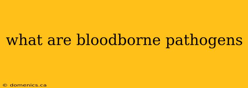 what are bloodborne pathogens